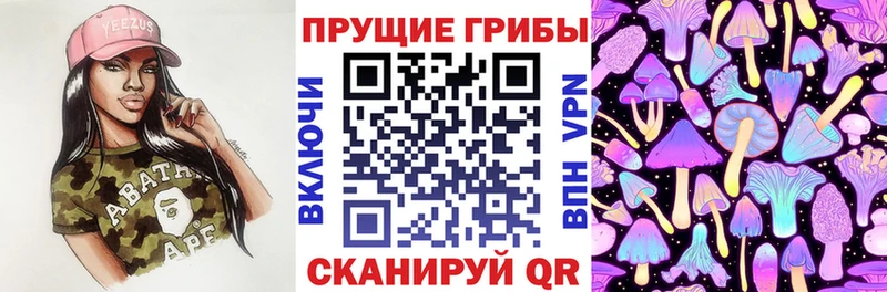 кракен tor  shop наркотические препараты  Галлюциногенные грибы Psilocybe  Кириши 